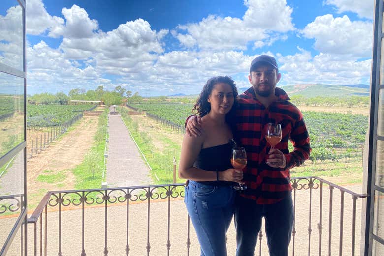 Taste delicious wines