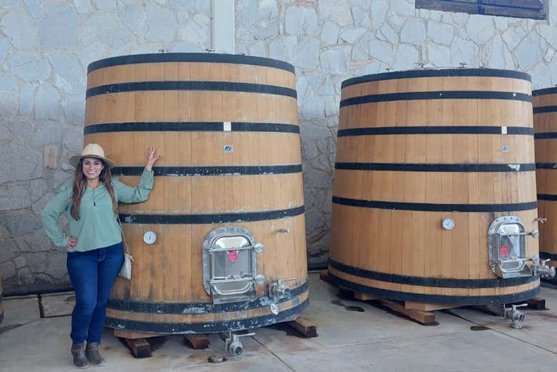 Posez à côté des fûts de vin
