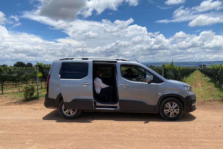Llegando a los viñedos de la bodega El Secreto