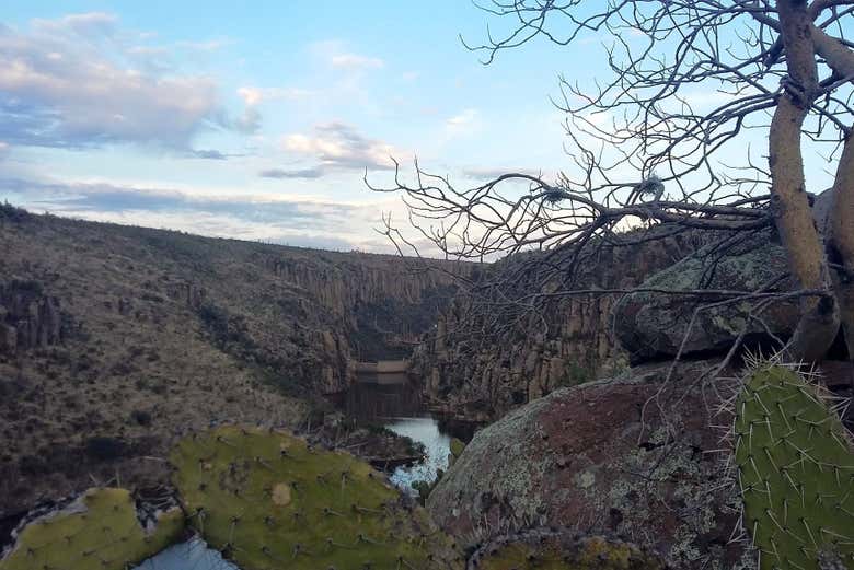 Entorno natural de Aguascalientes 