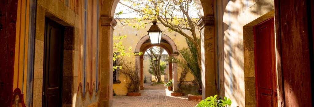 Visite guidate e free tour a Aguascalientes 