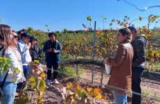 Aguascalientes Private Winery Tour
