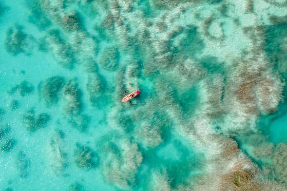 Noleggio kayak a Bacalar
