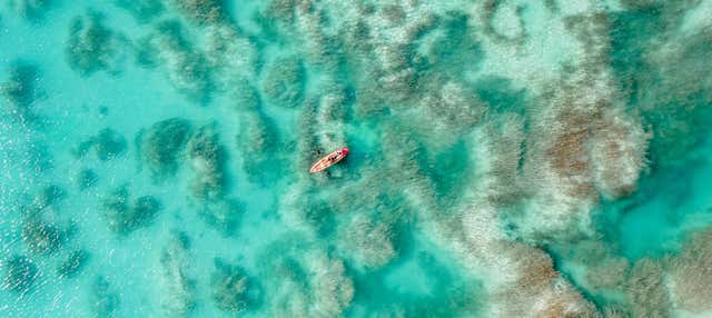 Alquiler de kayak en Bacalar