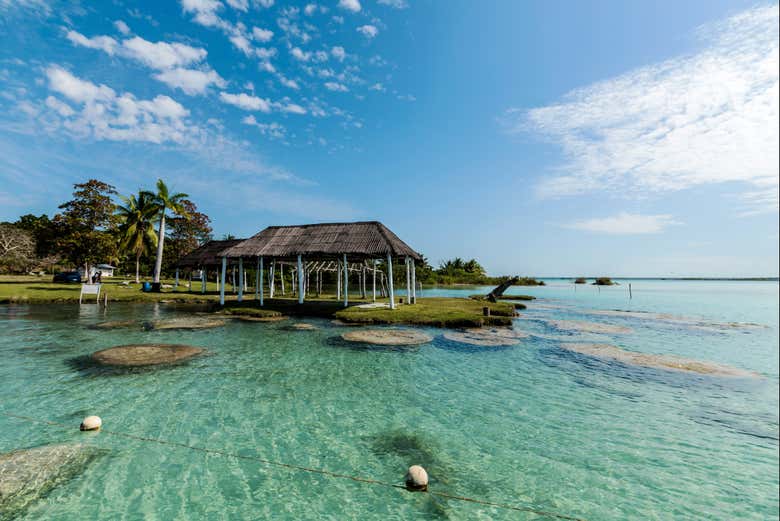 Estromatolitos milenarios de la laguna Bacalar