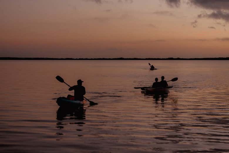 Profitez de la balade en kayak au coucher du soleil