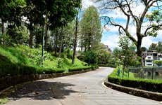 Excursão a Xalapa, Xico e Coatepec