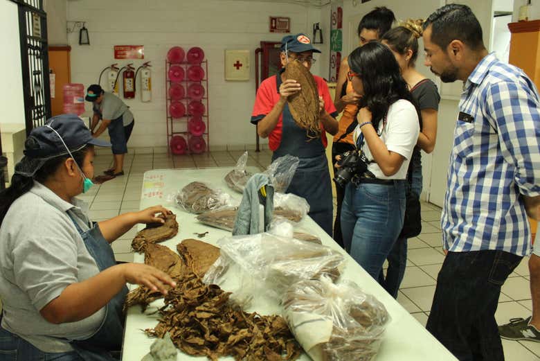 The cigar factory
