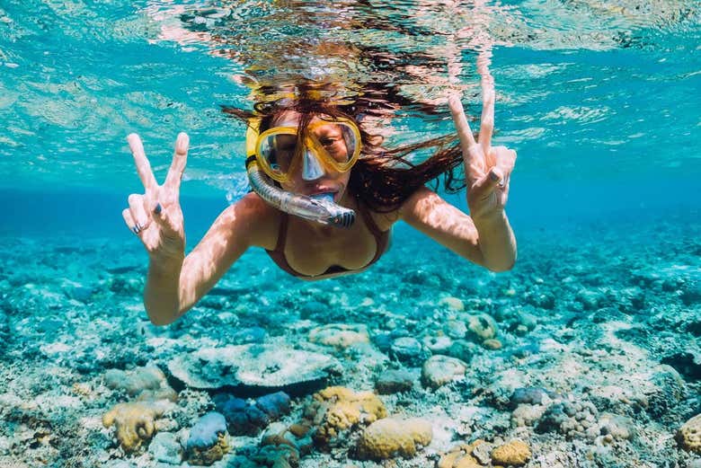 Snorkel na ilha de Enmedio