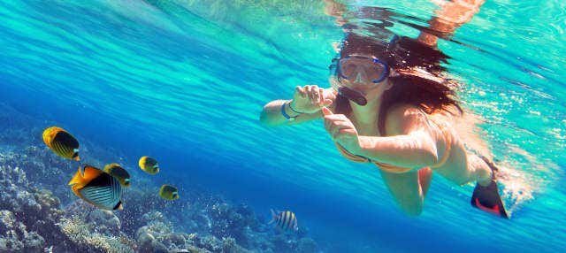 Snorkel en la isla de Enmedio
