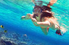 Snorkel at Isla de Enmedio