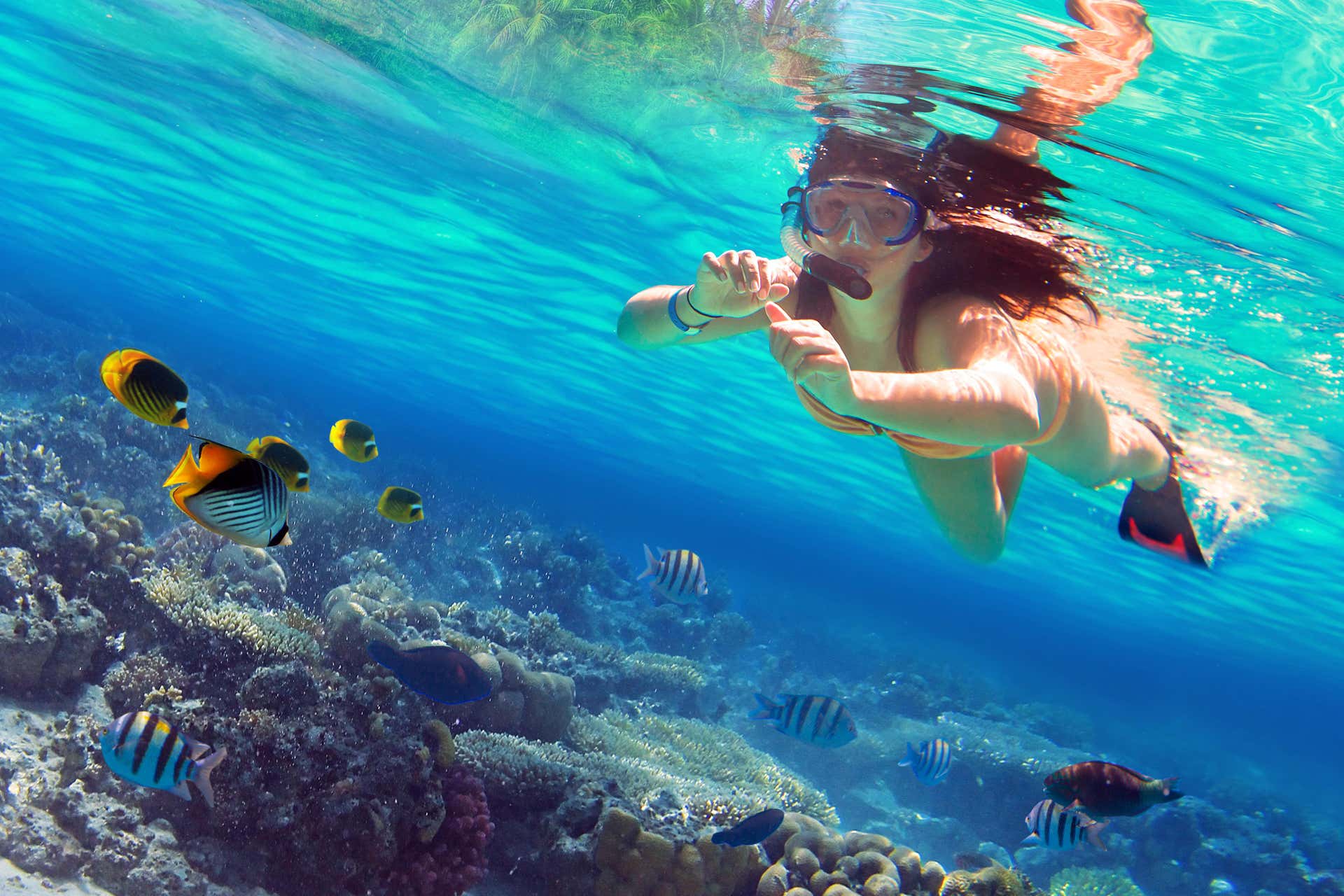 Snorkeling all'isola di Enmedio