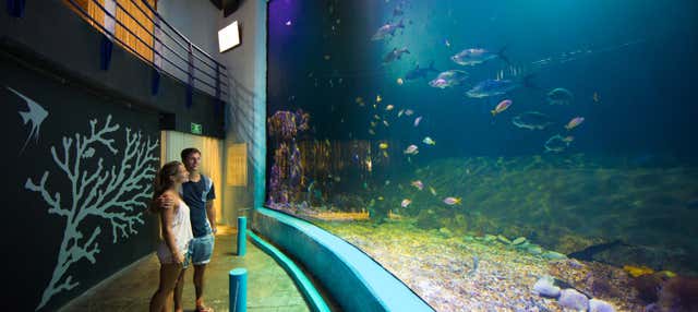 Entrada al Acuario Interactivo de Cancún