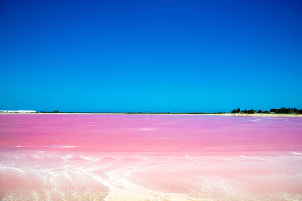 Excursion à Las Coloradas