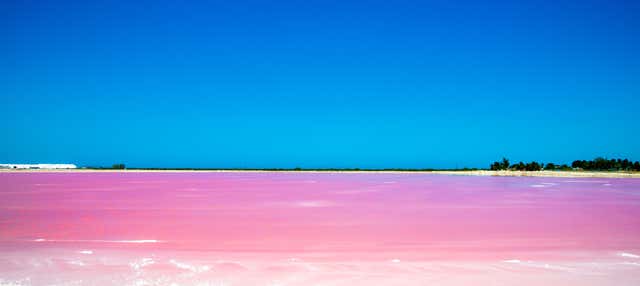 Excursión a Las Coloradas