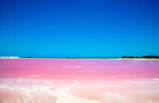 Excursión a Las Coloradas