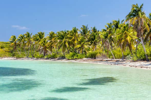 Excursion à l’Isla Contoy et l’Isla Mujeres