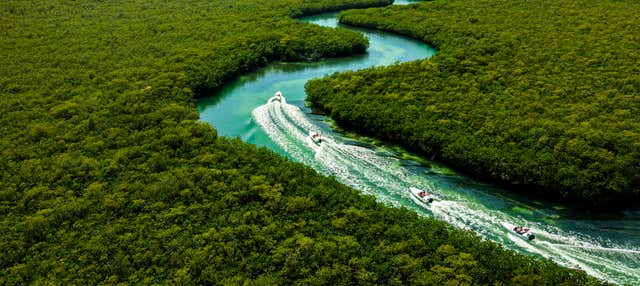 Excursión a Puerto Maya