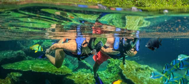 Excursión a Xel-Há