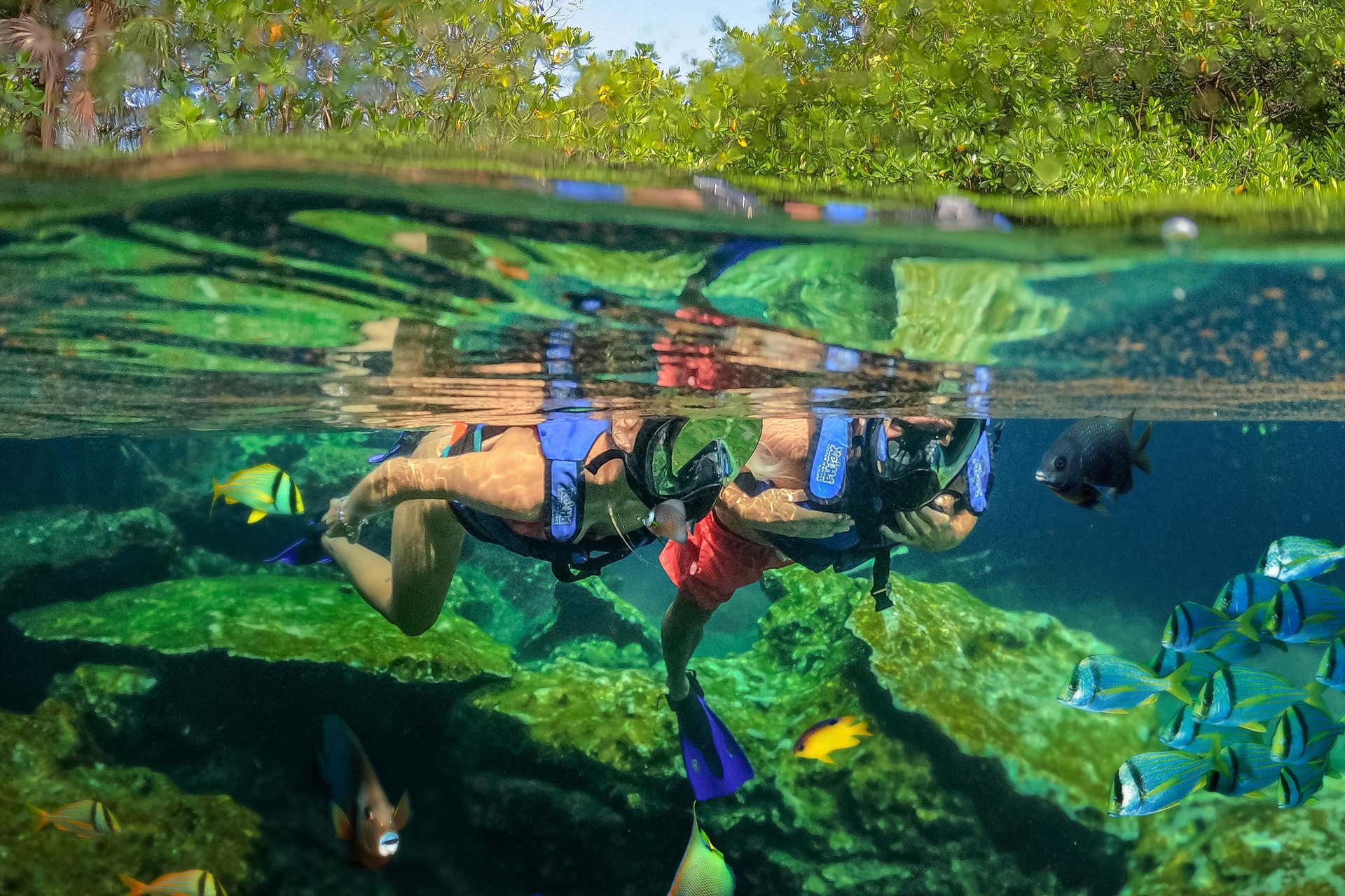 XelHá Natural Park Day Trip from Cancún, Cancun