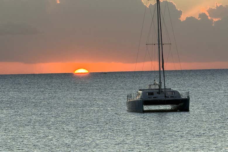 Experience the catamaran sailing at sunset