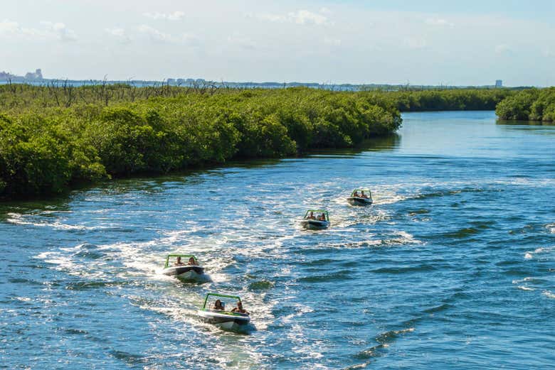 Immerse yourself in Mexico's vibrant nature