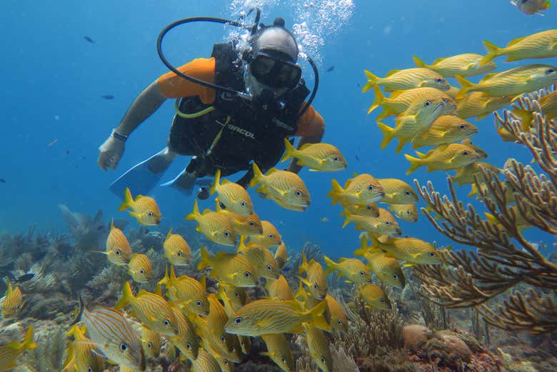 Bautismo de buceo en Cancún