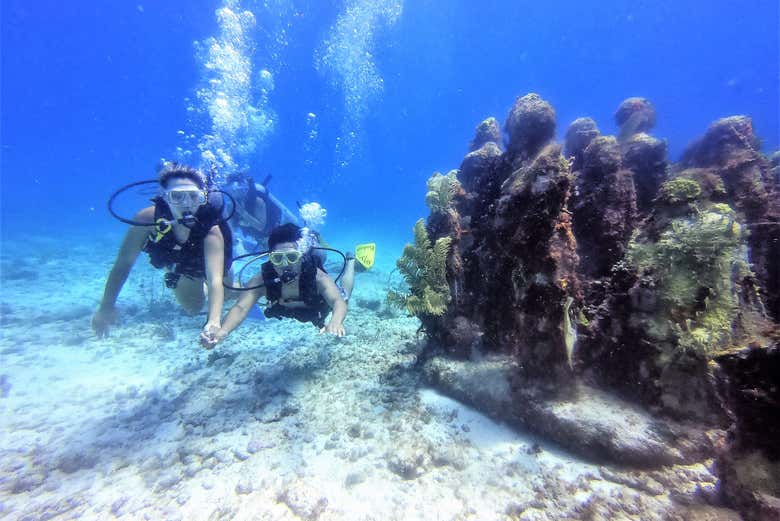 Disfrutando del curso de buceo