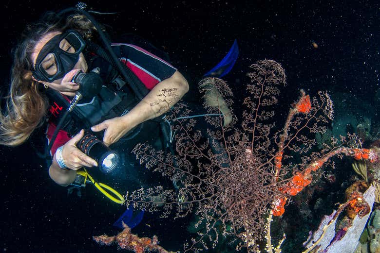 Con todo el equipo de buceo