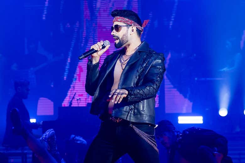 Le spectacle avec musique en direct