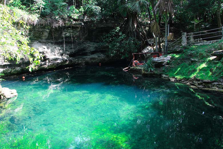 Visita a un cenote