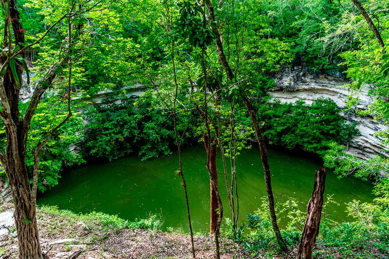 Cenote sagrado em Chichén Itzá
