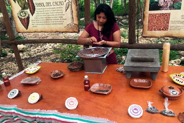 Conociendo todos los secretos del cacao