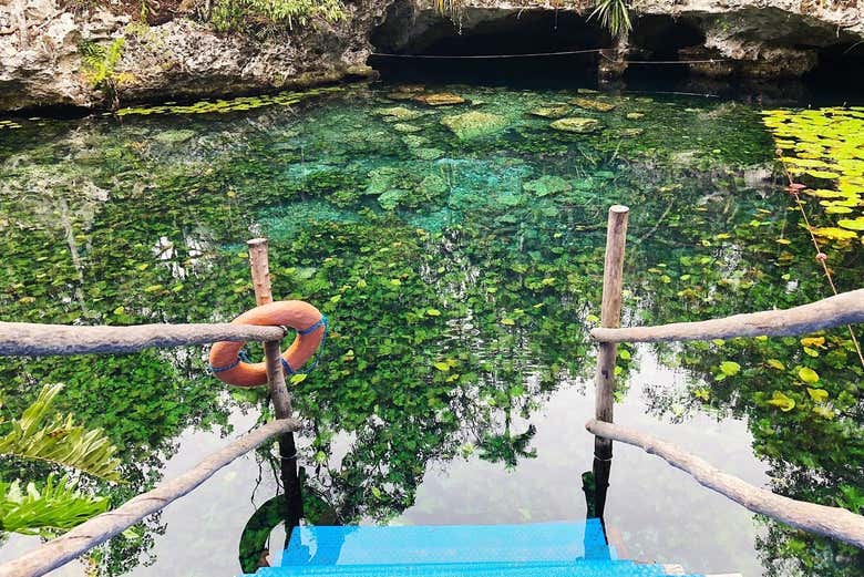 ¡Hora de darse un remojón!