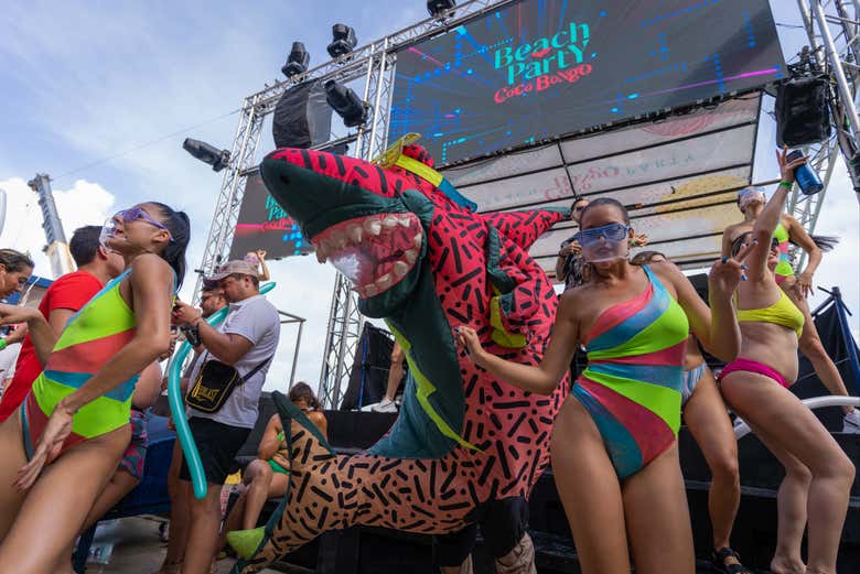 Você se divertirá com diferentes espetáculos