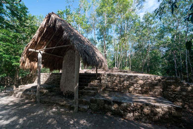 Estela maya de Cobá
