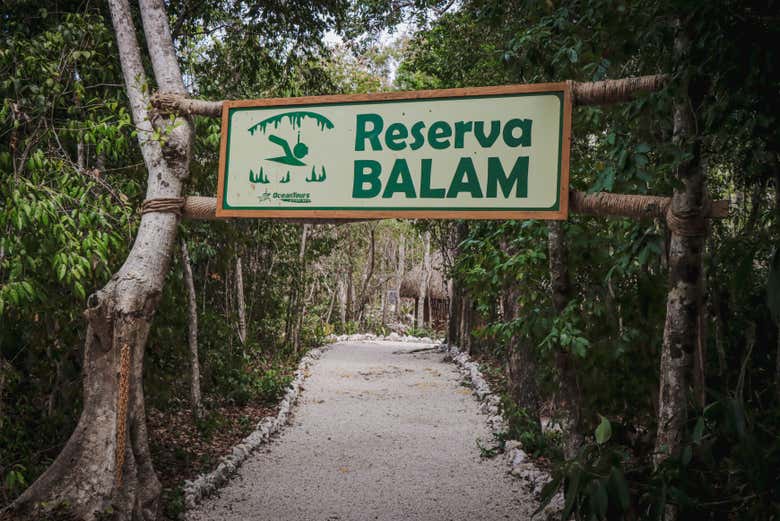 Entrada a la Reserva Balam