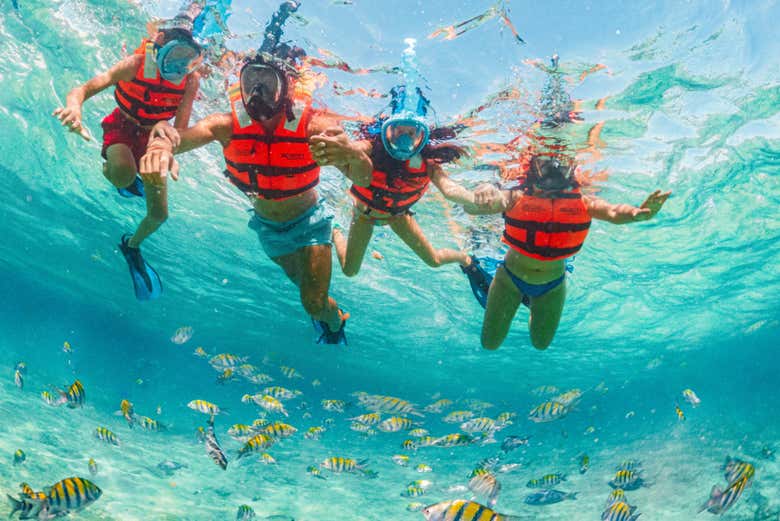 Having fun snorkelling