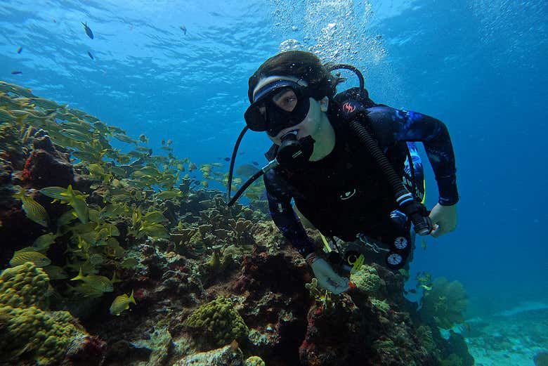 Será una experiencia inolvidable en Cancún