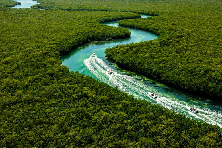 As paisagens exuberantes da área