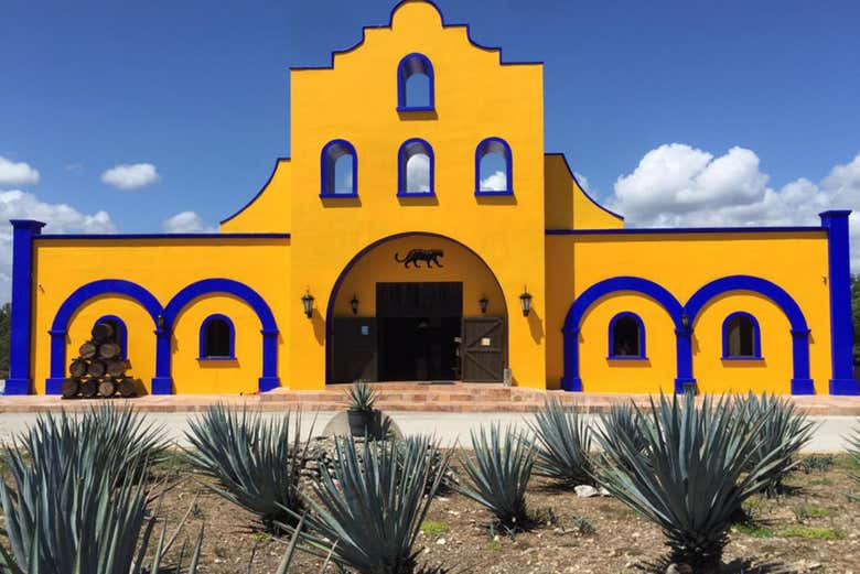 Visitaremos una hacienda tequilera