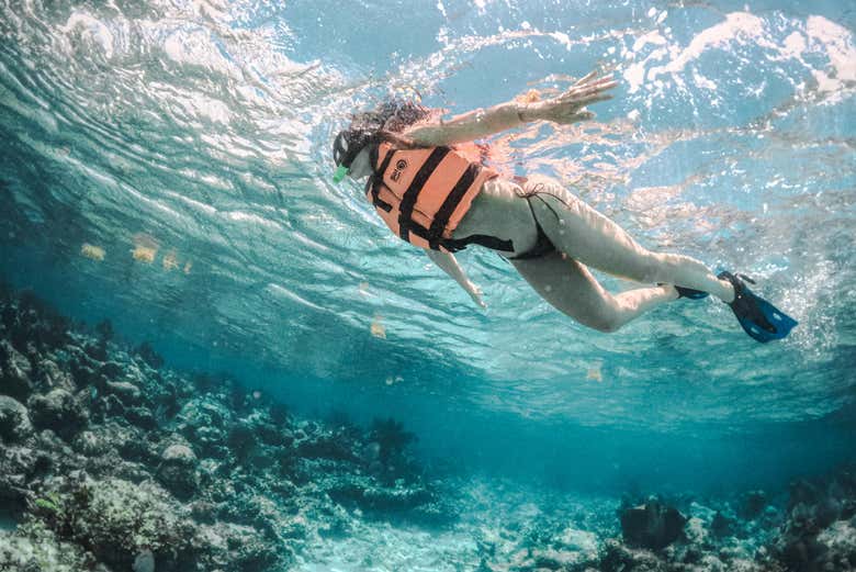 Podréis practicar snorkel en el Caribe mexicano