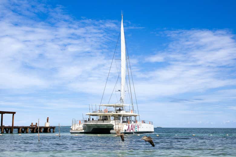 Get ready for the catamaran ride in Cancún