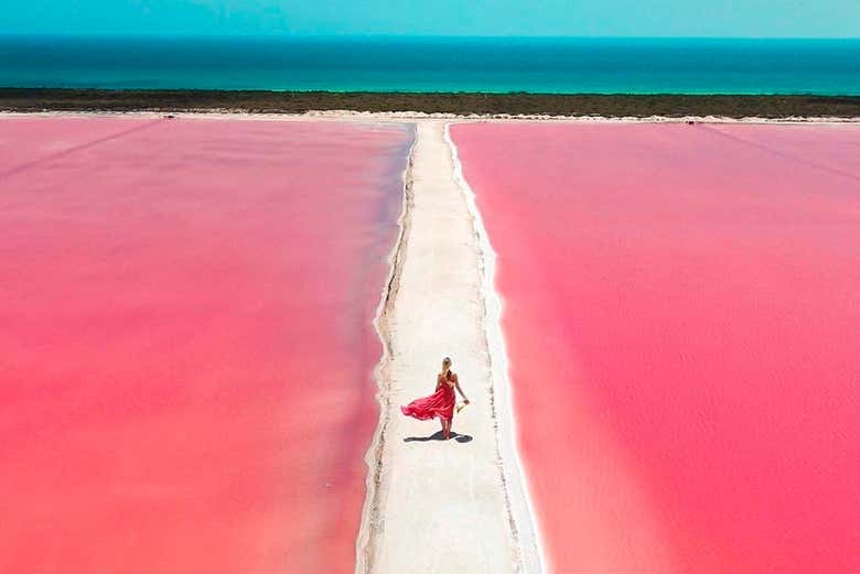 Parc naturel de Las Coloradas