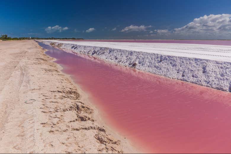 Las Coloradas
