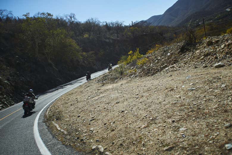 Sorteando curvas increíbles