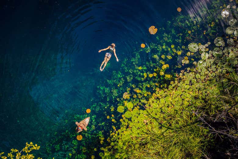 Nadando en los cenotes mayas