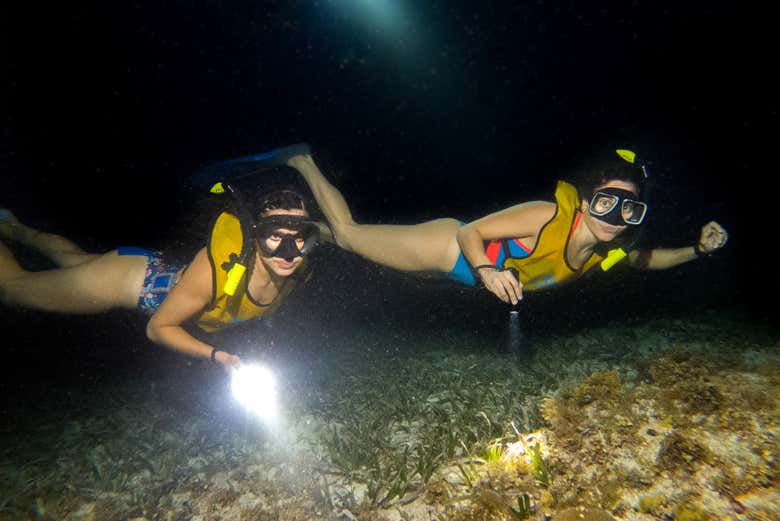 Swimming at night on Cancun's reefs