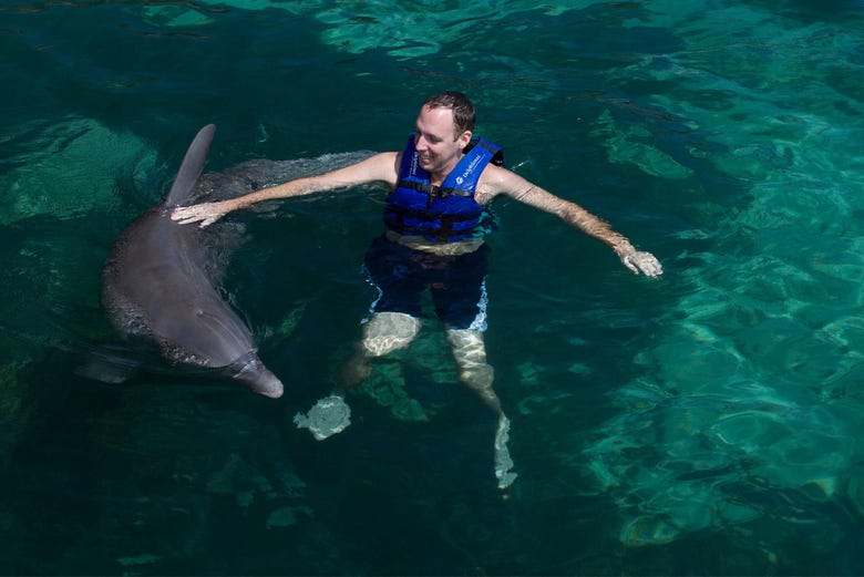 Swimming with Dolphins in Cancún