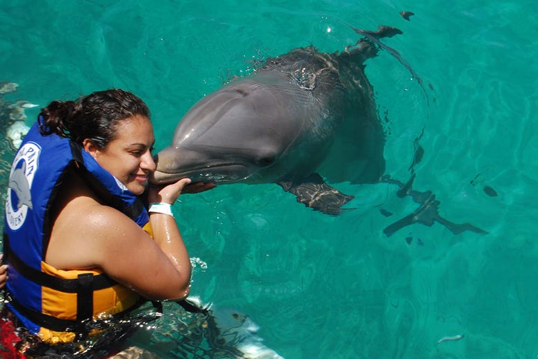 Recibiendo un beso de un delfín